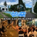 제주도게스트하우스 유로민박 이미지