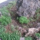 양지-3318 이미지