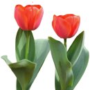 우재산업 이미지