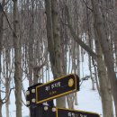 3월 시산제산행지 축령산 답사 이미지