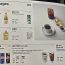 다낭 | 파라타항공 다낭 후기 좌석 WE201