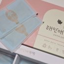 주식회사 한올 | 강화약쑥 100%로 만든 해안애쑥팩 깔끔한 개별포장 입욕제 추천