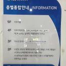 창의나라어린이집 | 시흥 숨쉬는 놀이터 2호와 3호 후기