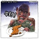주한 시민언론민들레