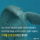 이상한나라의수족관