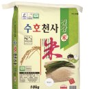청정농업연구원