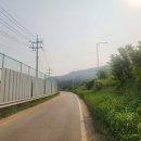 경기둘레길 파주6코스 | 경기둘레길파주8코스 율곡습지공원~파평면행정복지센터~장남교북단/원당리소공원2025/05/30(금)