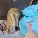 이가이헤어