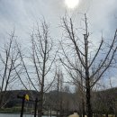 다을한의원 이미지