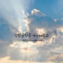 천지인공인중개사사무소 이미지