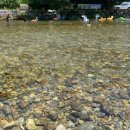 강애산애 이미지