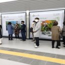 강서구립곰달래어르신복지센터 이미지