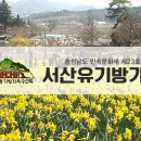 서산민박 Daum카페