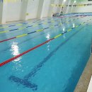 Helen Doron Swimming Centre 헬렌도론 스위밍센터 | 오산시수영장 위치와 사용정보