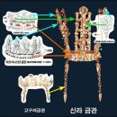 금관의 나라, 신라 이미지