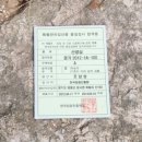 용문산산양산삼