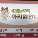 아리엘언니 이미지