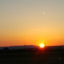 장미여인숙 이미지