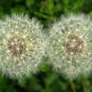 가남초등학교 이미지