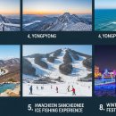 제이디 평창휘닉스찜질방 힐링센터 | 겨울여행 어디로 갈까? 국내 숨은 명소 완벽가이드