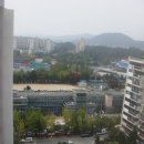 교동초 앞 삼거리 네이버블로그