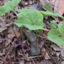 바울농장 이미지