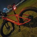 (재업)알톤 이노바투스26 전기펫바이크 자전거 새것상태 급매 이미지
