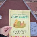 천안유치원 천안어린이집 자연유치원 야외활동 후기!