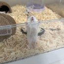 서산아크릴 네이버블로그