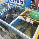 삼천포 용궁수산시장#8 이미지