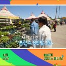 강화여리네농원 | 회장님네 사람들 모종 산 농원 어디? - 강화도 화훼농원 농장