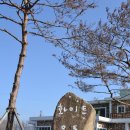 시후민박 | 청도를 둘러보다...