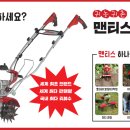 맨티스 이미지