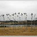 중앙탑공원 이미지