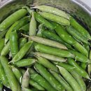 본량농업협동조합마트 이미지