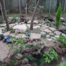 본느마망 산후조리원 이미지