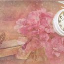 국제여행 행정사 이미지