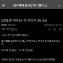 맘카페에 똥 사진 테러한 디씨 똥빌런 이미지