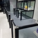 도그도그펫 이미지