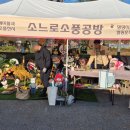 댕댕랜드 이미지