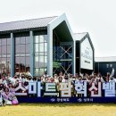 그린트리화장품 이미지