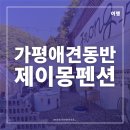 가평군농협하나로주유소 | [가평애견동반펜션] 서울 근교 반려견과 함께 편하게 쉬어갈 수 있는 감성 숙소 제이몽펜션 (+ 마트정보...