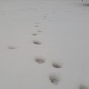 산속농원 이미지