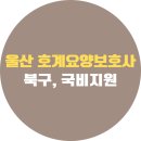 소원요양보호사교육원 | 울산 북구 호계요양보호사교육원 후기, 신규반 일정