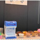 힘찬태권도장 이미지