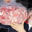 제육의법칙 이미지