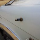 가평낚시터 이미지