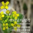 효령로 59-7 이미지