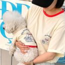 오브벨유 이미지