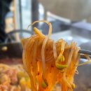 온고을식당 | [온고을닭갈비] "공릉동 맛집" 단체 회식하기 좋은 넓은 주차장의 닭갈비 맛집